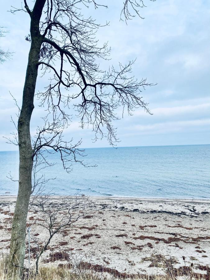 Landlebenliebe Villa Neukirchen  Kültér fotó